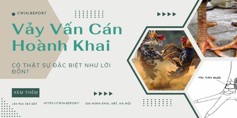 anh-dai-dien-vay-van-can-hoanh-khai